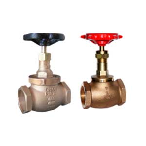 Globe Valve