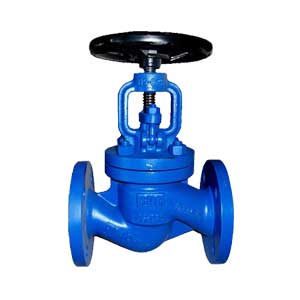 Globe Valve